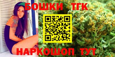 СК Сланцы