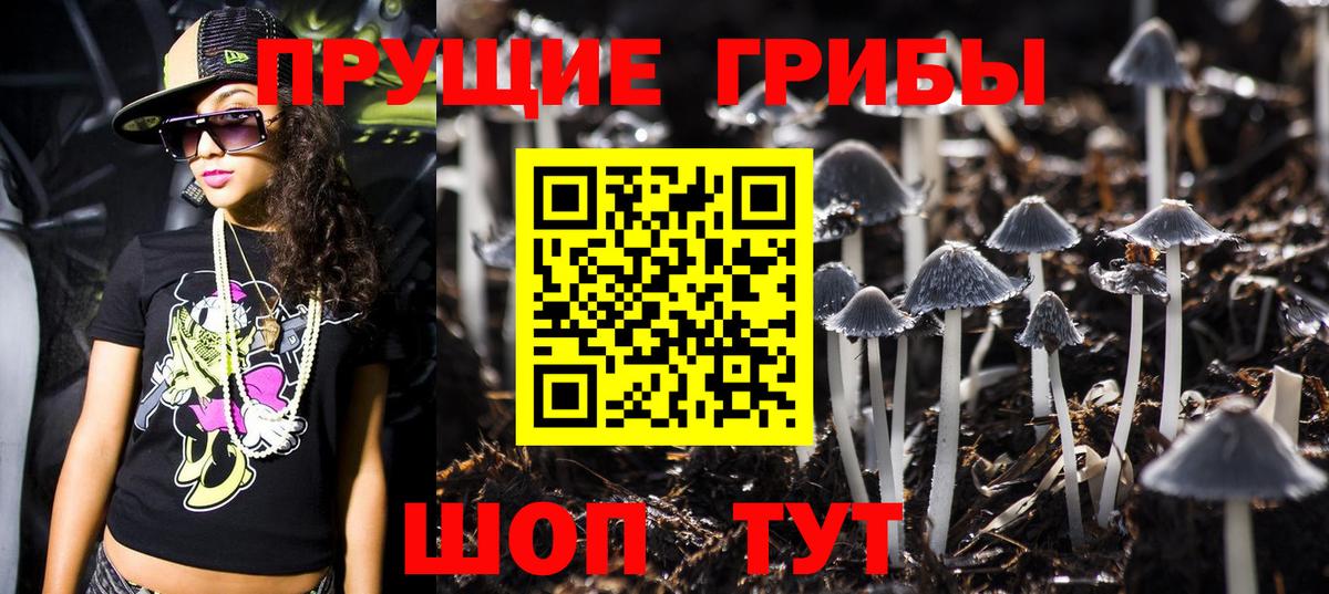 Галлюциногенные грибы Psilocybe  как найти наркотики  Туапсе  Вход с VPN 