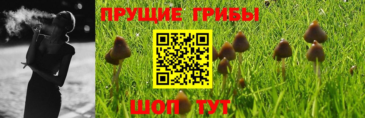 Псилоцибиновые грибы GOLDEN TEACHER Туапсе